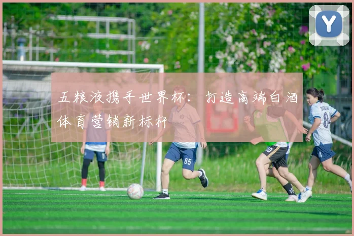五粮液携手世界杯：打造高端白酒体育营销新标杆