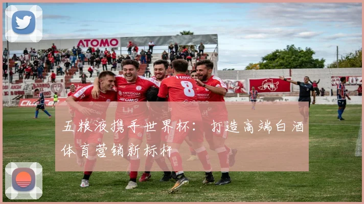 五粮液携手世界杯:打造高端白酒体育营销新标杆